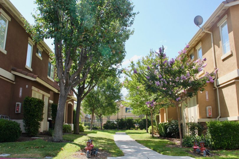 Villas at Old School House Condos, Lofts & Townhomes For Sale Villas