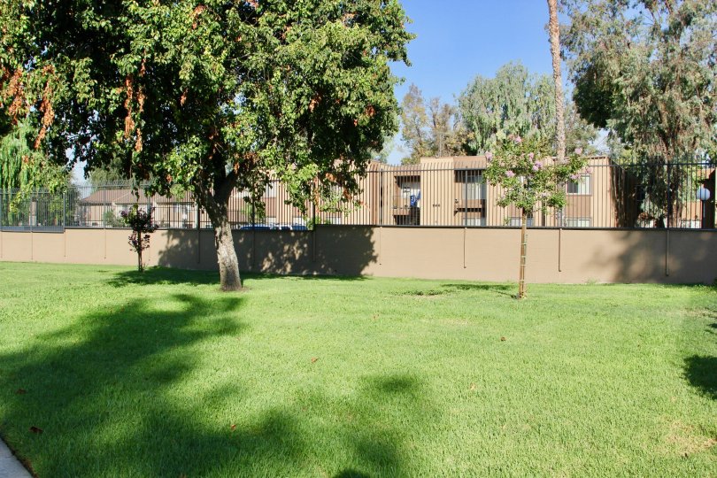 Springbrook Park Townhomes Condos, Lofts & Townhomes For Sale