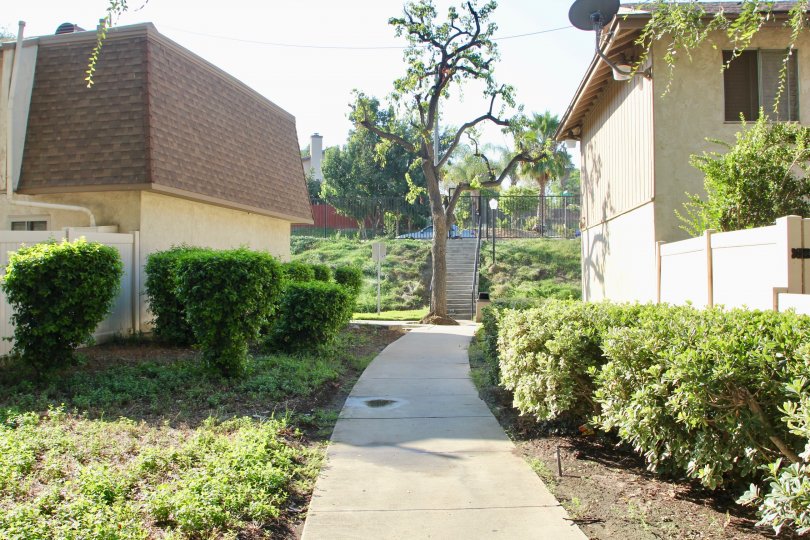 Springbrook Park Townhomes Condos, Lofts & Townhomes For Sale