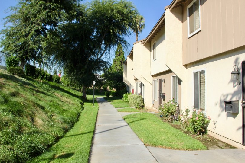 Springbrook Park Townhomes Condos, Lofts & Townhomes For Sale Springbrook Park Townhomes Real