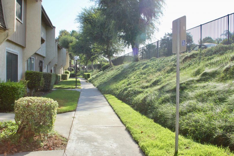 Springbrook Park Townhomes Condos, Lofts & Townhomes For Sale