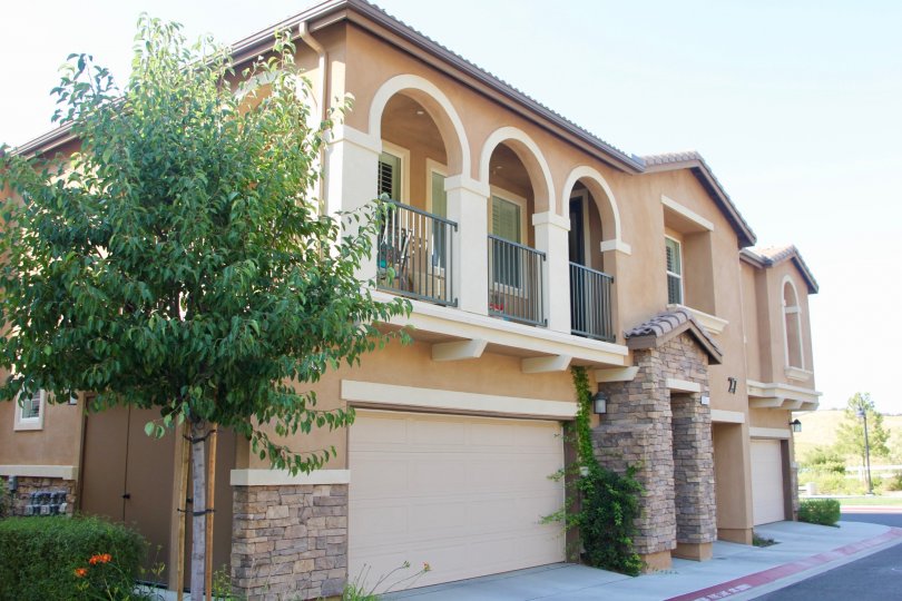 Belvista Condos, Lofts & Townhomes For Sale Belvista Real Estate