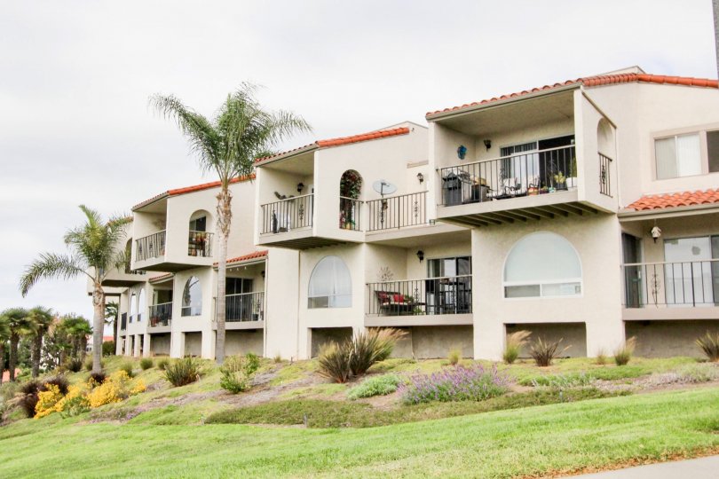 Alta Mira II Condos, Lofts & Townhomes For Sale Alta Mira II Real