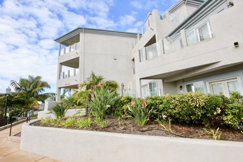 Buena Vista Village Condos, Lofts & Townhomes For Sale Buena Vista