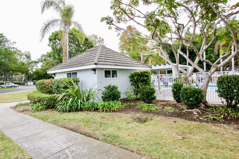 Carlsbad Crest Condos, Lofts & Townhomes For Sale Carlsbad Crest Real