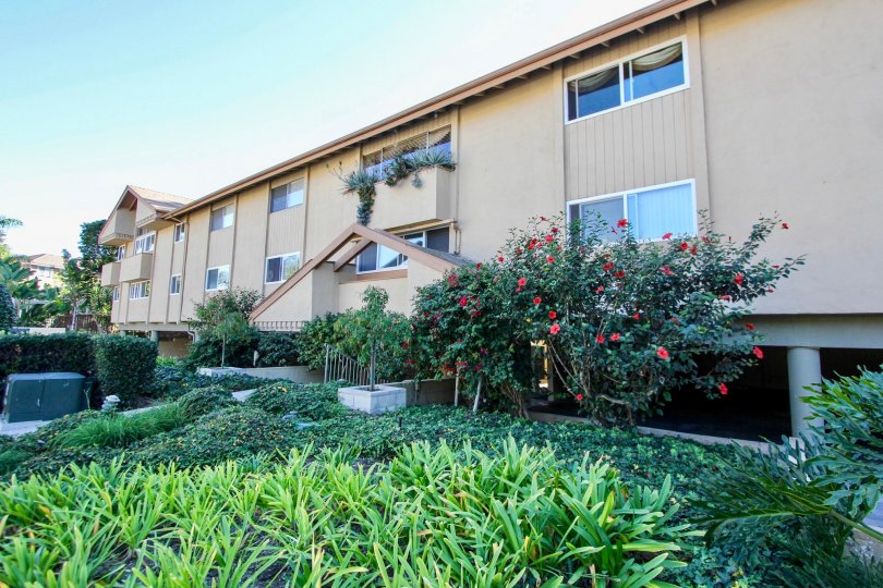 Fairview Condos, Lofts & Townhomes For Sale Fairview Real Estate Fairview, Carlsbad CA