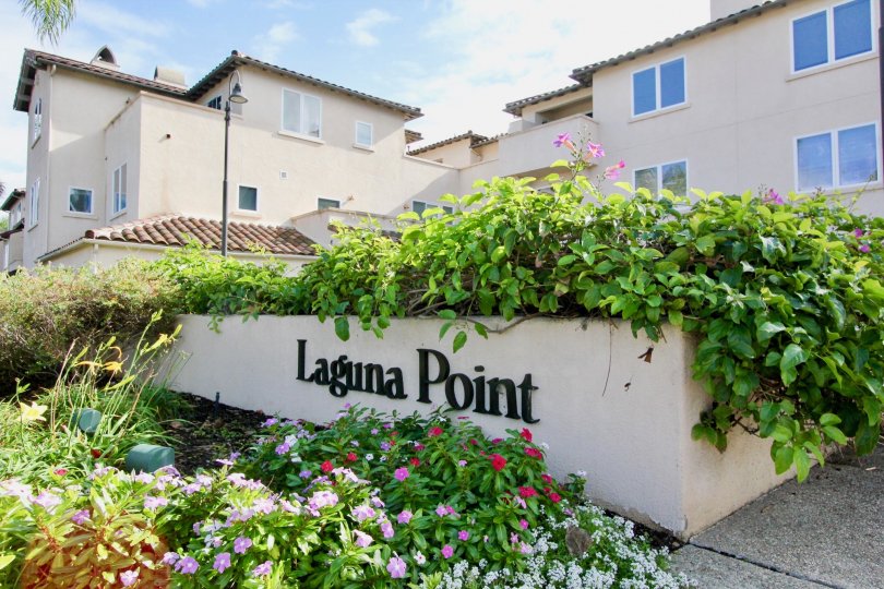 Laguna Point Condos, Lofts & Townhomes For Sale Laguna Point Real