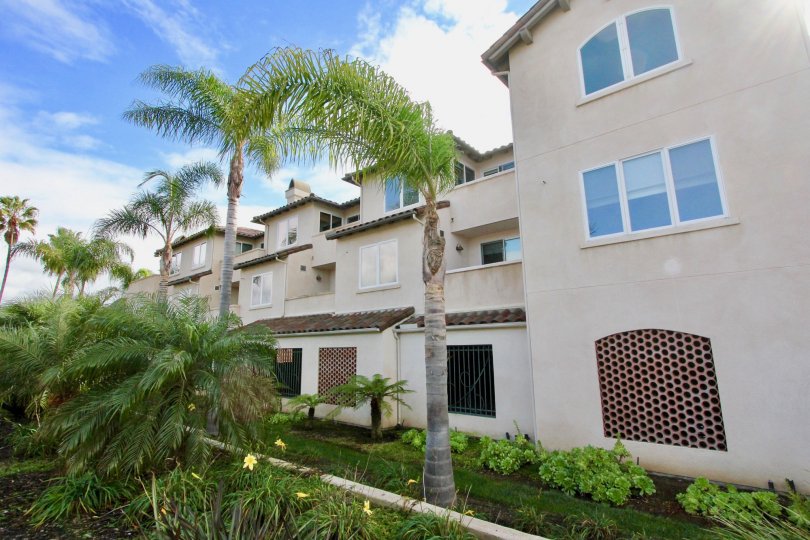 Laguna Point Condos, Lofts & Townhomes For Sale Laguna Point Real