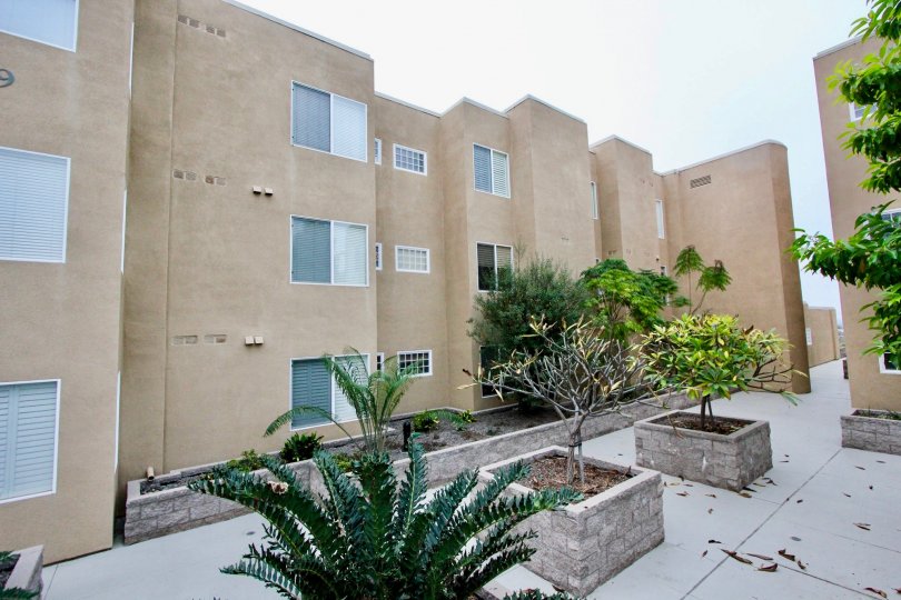 Ocean Pointe Condos, Lofts & Townhomes For Sale Ocean Pointe Real