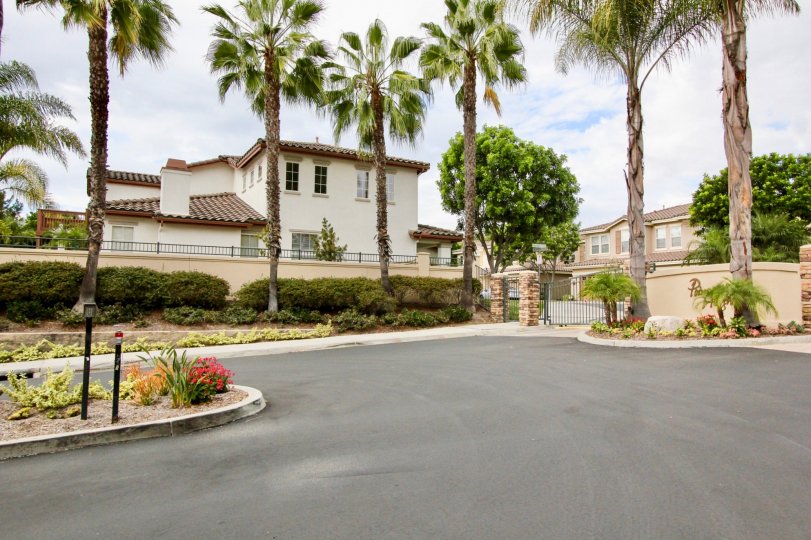 Poinsettia Heights Condos, Lofts & Townhomes For Sale Poinsettia