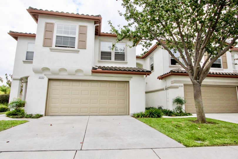 Poinsettia Heights Condos, Lofts & Townhomes For Sale Poinsettia