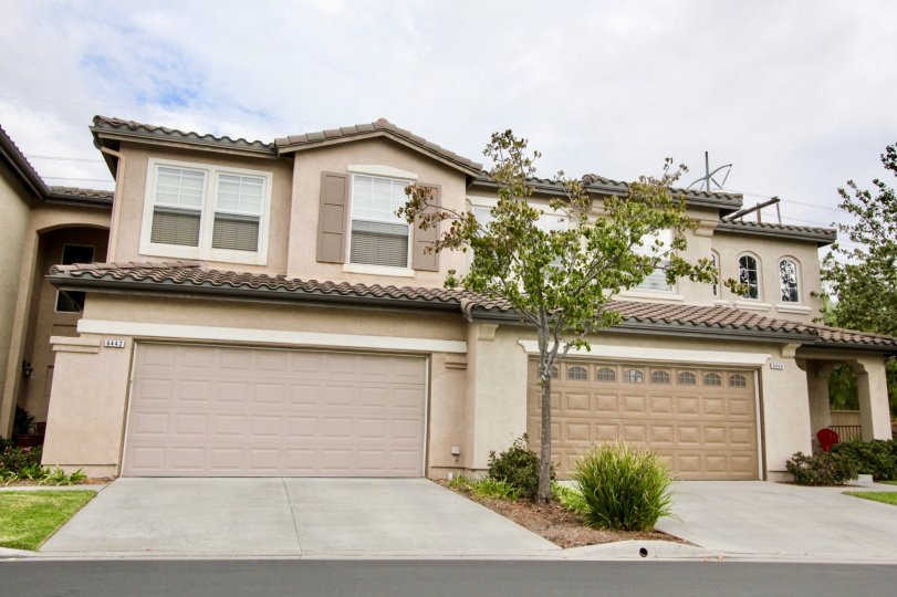 Poinsettia Heights Condos, Lofts & Townhomes For Sale Poinsettia