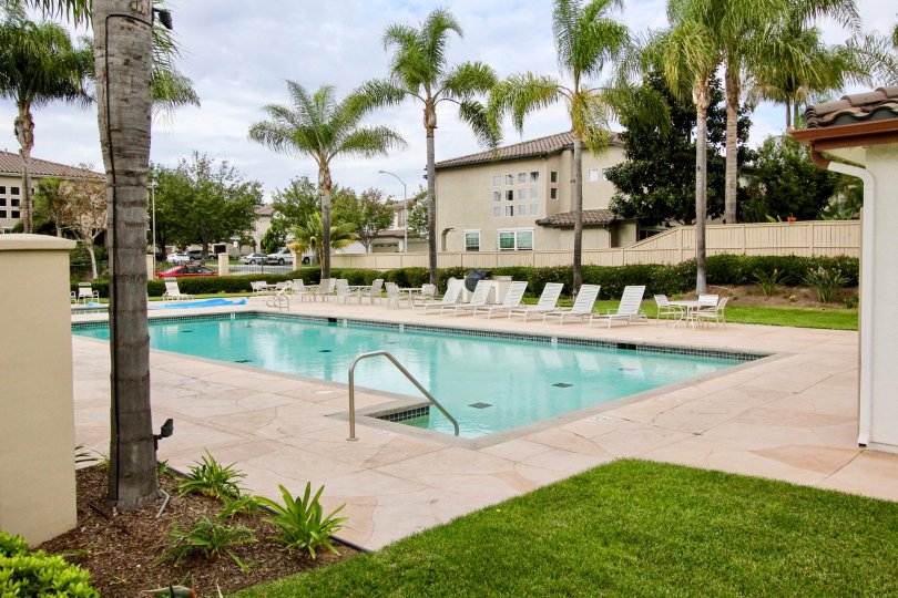 Poinsettia Heights Condos, Lofts & Townhomes For Sale Poinsettia