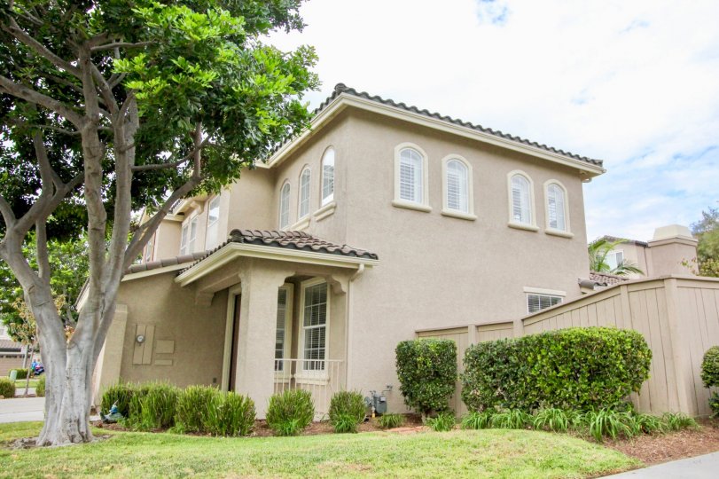 Poinsettia Heights Condos, Lofts & Townhomes For Sale Poinsettia