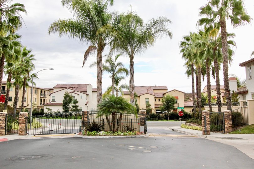 Poinsettia Heights Condos, Lofts & Townhomes For Sale Poinsettia