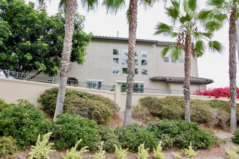 Poinsettia Heights Condos, Lofts & Townhomes For Sale Poinsettia