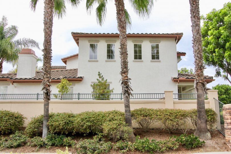 Poinsettia Heights Condos, Lofts & Townhomes For Sale Poinsettia