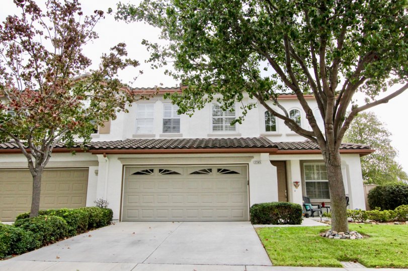 Poinsettia Heights Condos, Lofts & Townhomes For Sale Poinsettia