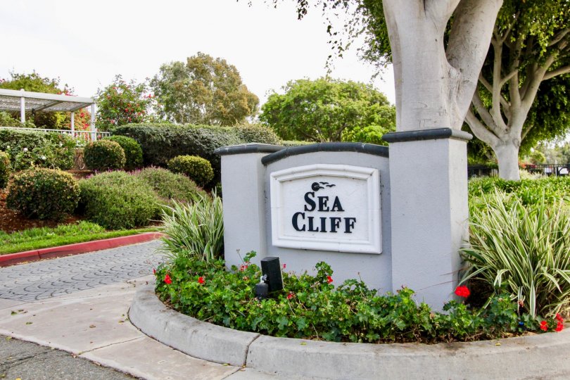 Sea Cliff Condos, Lofts & Townhomes For Sale Sea Cliff Real Estate