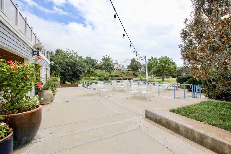 Sea Cliff Condos, Lofts & Townhomes For Sale Sea Cliff Real Estate