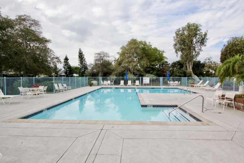 Sea Cliff Condos, Lofts & Townhomes For Sale Sea Cliff Real Estate