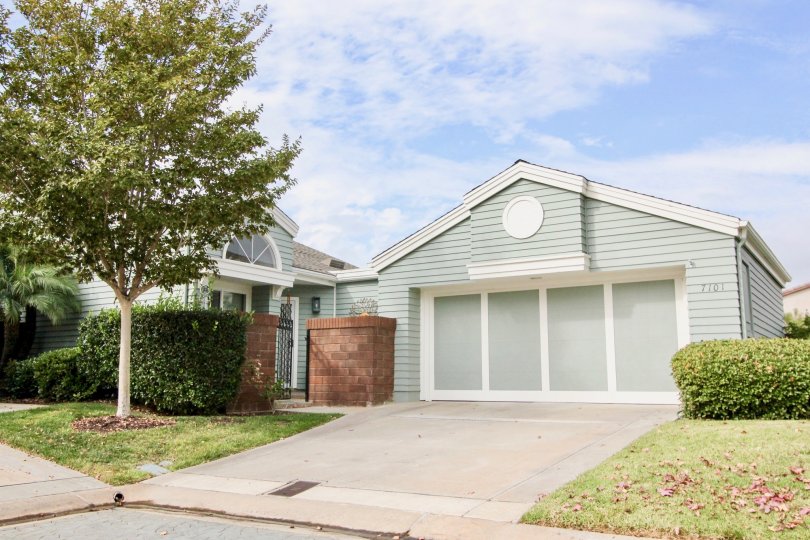 Sea Cliff Condos, Lofts & Townhomes For Sale Sea Cliff Real Estate