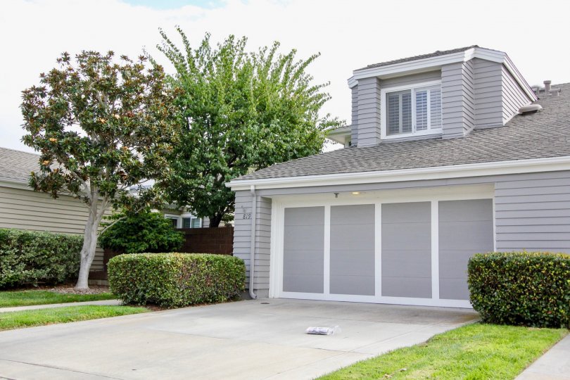 Sea Cliff Condos, Lofts & Townhomes For Sale Sea Cliff Real Estate