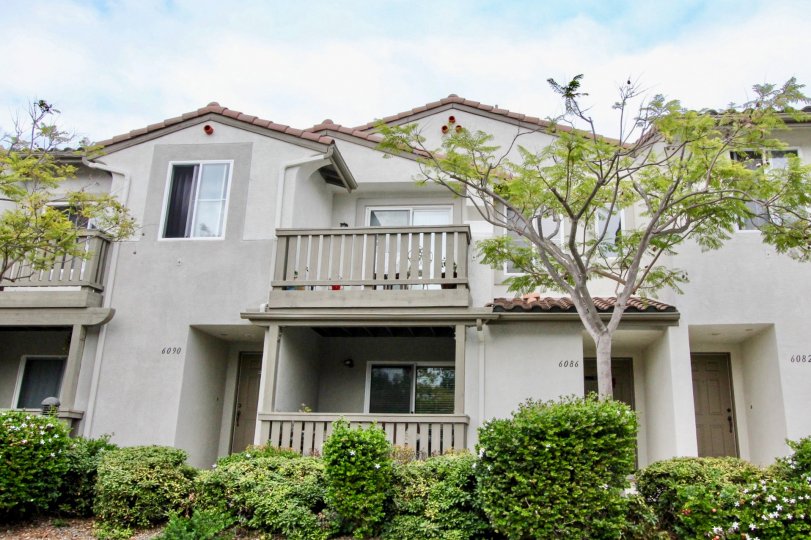 Serrano Condos, Lofts & Townhomes For Sale Serrano Real Estate