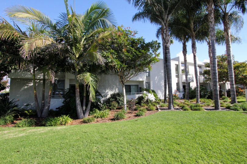 South Park Condos, Lofts & Townhomes For Sale South Park Real Estate South Park, Carlsbad CA