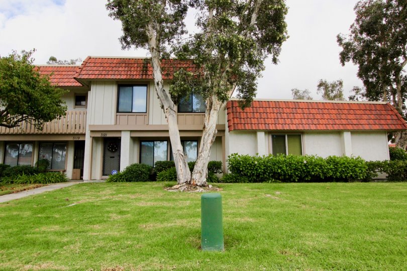 Tanglewood Condos, Lofts & Townhomes For Sale Tanglewood Real Estate