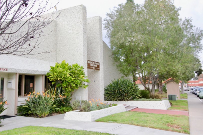 Tanglewood Condos, Lofts & Townhomes For Sale Tanglewood Real Estate