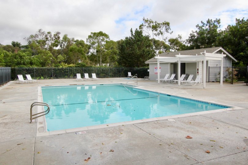 The Crest Condos, Lofts & Townhomes For Sale The Crest Real Estate