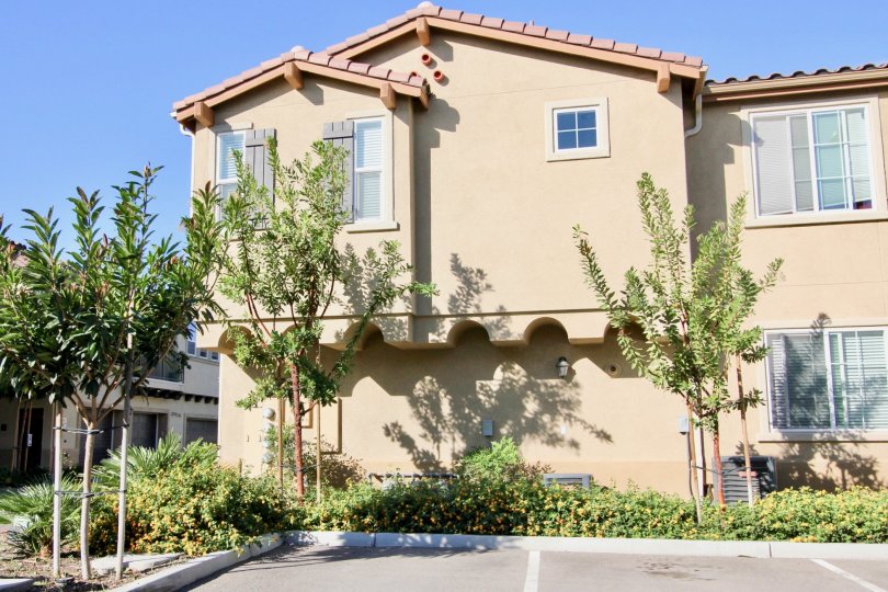 Avalon Condos, Lofts & Townhomes For Sale Avalon Real Estate Avalon