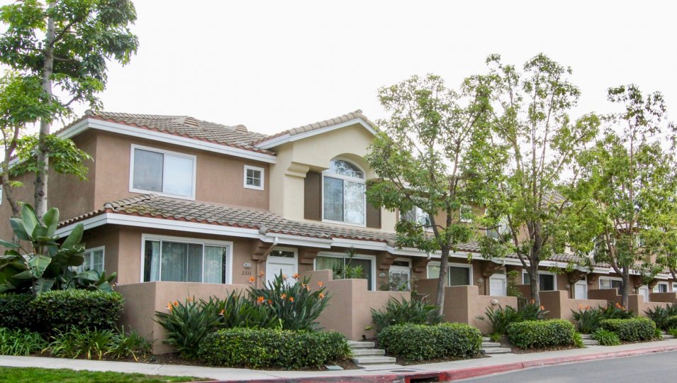 Cabo Bahia Condos, Lofts & Townhomes For Sale Cabo Bahia Real Estate