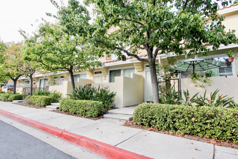 Cabo Bahia Condos, Lofts & Townhomes For Sale Cabo Bahia Real Estate