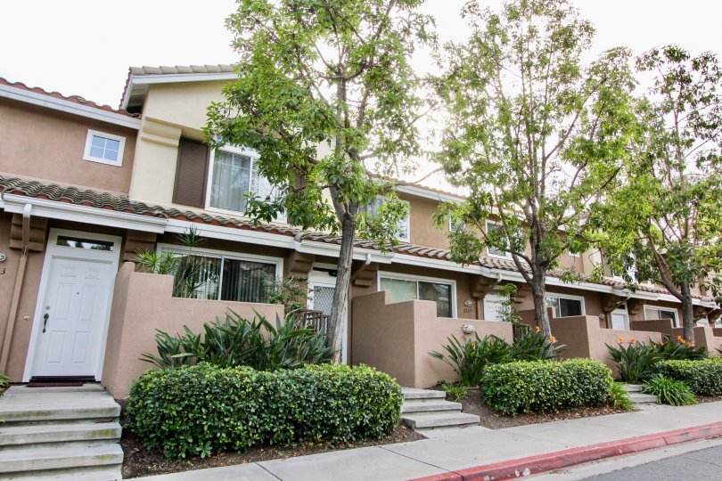 Cabo Bahia Condos, Lofts & Townhomes For Sale Cabo Bahia Real Estate