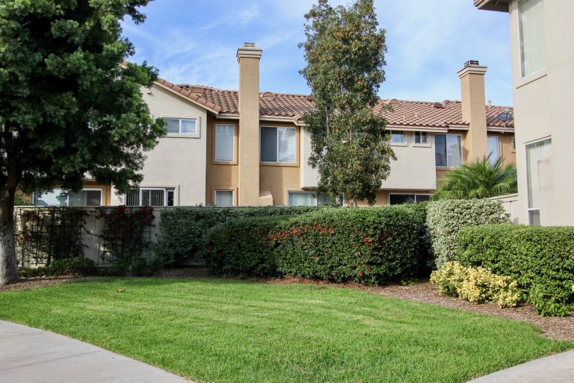 Chapala Condos, Lofts & Townhomes For Sale Chapala Real Estate