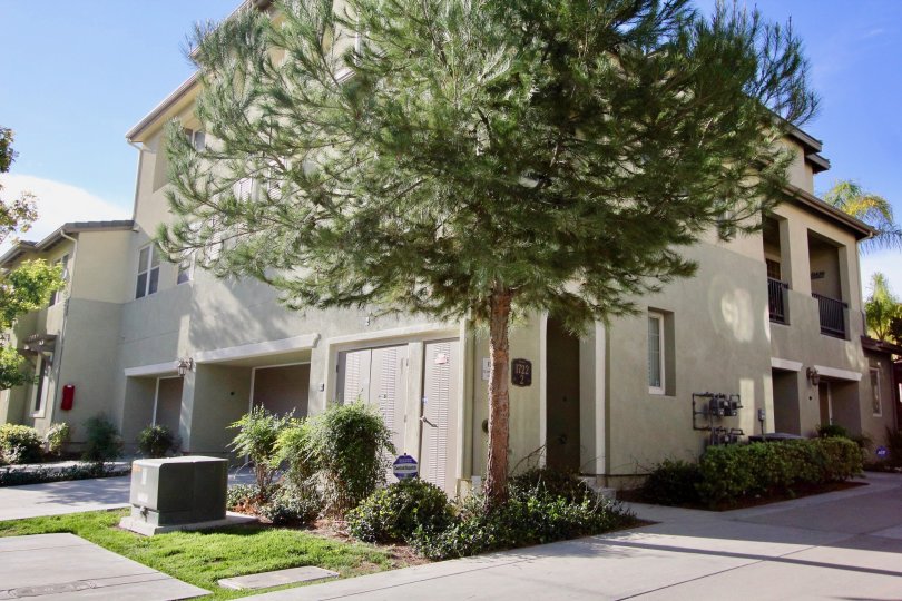 Clover Condos, Lofts & Townhomes For Sale Clover Real Estate Clover