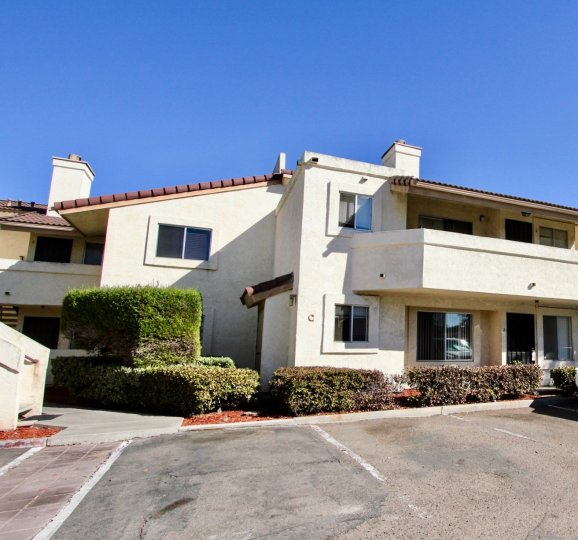 Jasmine Place Condos, Lofts & Townhomes For Sale Jasmine Place Real Estate Jasmine Place