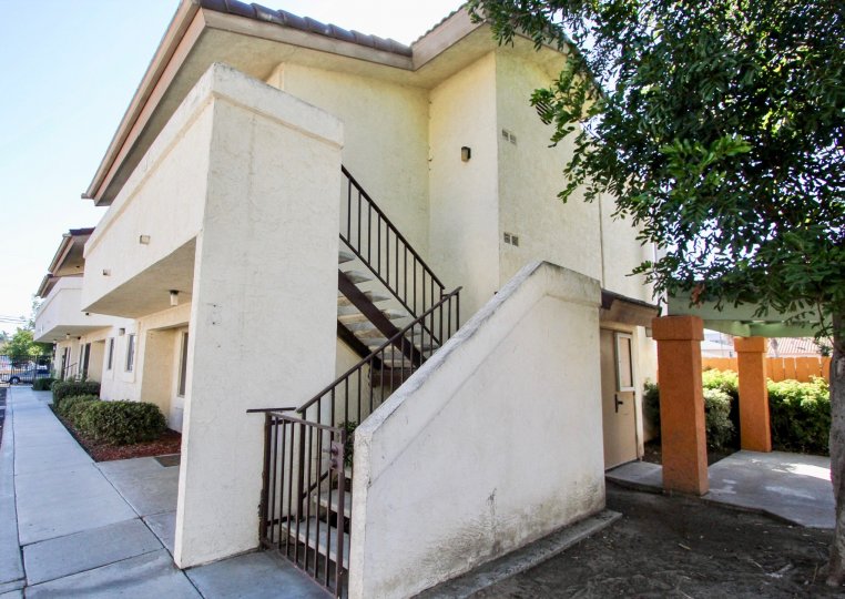 Jasmine Place Condos, Lofts & Townhomes For Sale Jasmine Place Real Estate Jasmine Place