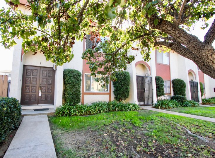 Las Palomas Condos, Lofts & Townhomes For Sale Las Palomas Real