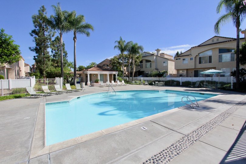 Serena Condominiums Condos, Lofts & Townhomes For Sale Serena