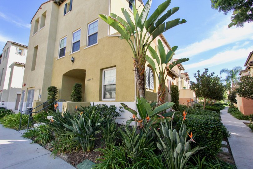 Stetson Condos, Lofts & Townhomes For Sale Stetson Real Estate