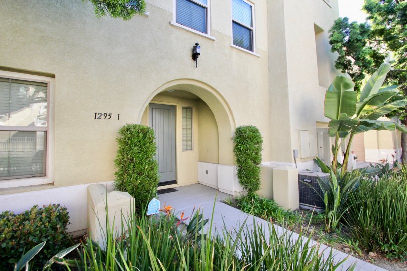 Stetson Condos, Lofts & Townhomes For Sale Stetson Real Estate