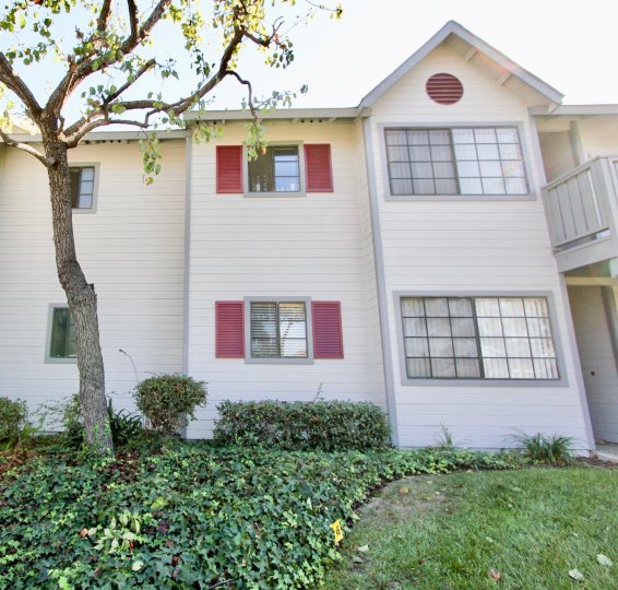 Summerwind Condos, Lofts & Townhomes For Sale Summerwind Real Estate