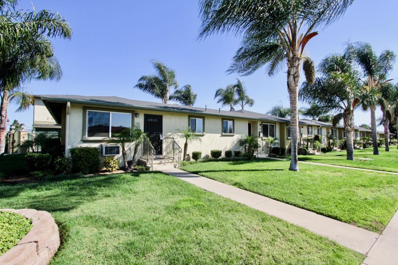 Twin Oaks Condos, Lofts & Townhomes For Sale Twin Oaks Real Estate