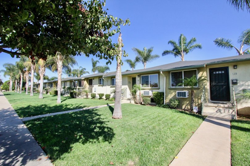 Twin Oaks Condos, Lofts & Townhomes For Sale Twin Oaks Real Estate