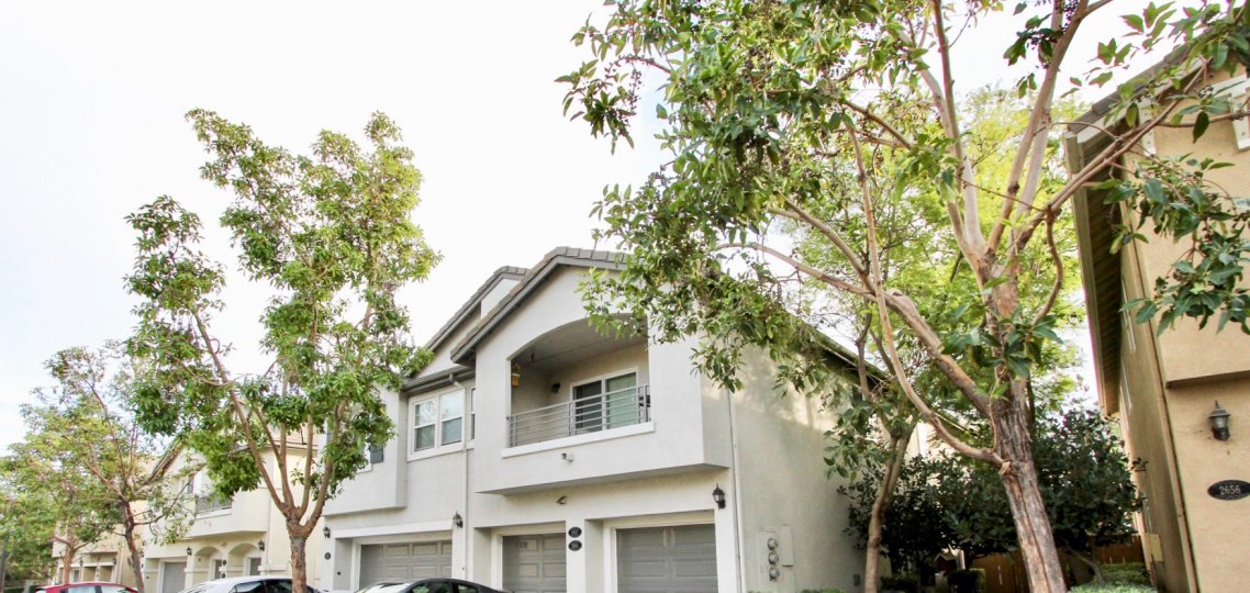 Willow Bend Condos, Lofts & Townhomes For Sale Willow Bend Real