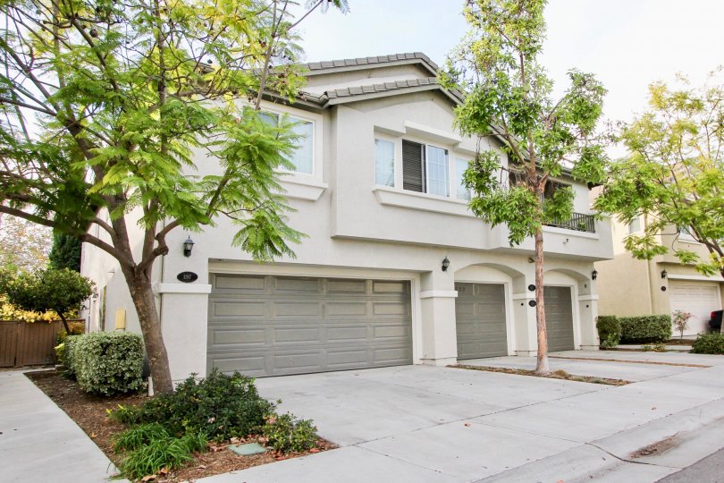 Willow Bend Condos, Lofts & Townhomes For Sale Willow Bend Real