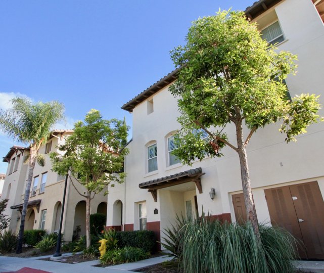 Winding Walk Condos, Lofts & Townhomes For Sale Winding Walk Real